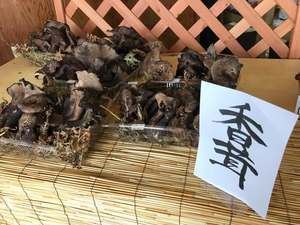 14469654_10210344274744896_5206184463338475981_n-1